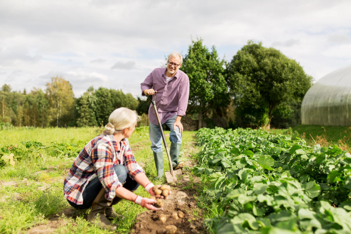 Benefits of Gardening For Seniors; Senior Living Franklin; Astral at Franklin